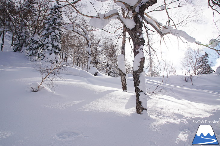 大雪山旭岳ロープウェイ 北海道最高峰でパウダーライド！